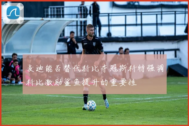 麦迪能否替代科比夺冠斯科特强调科比激励鲨鱼提升的重要性