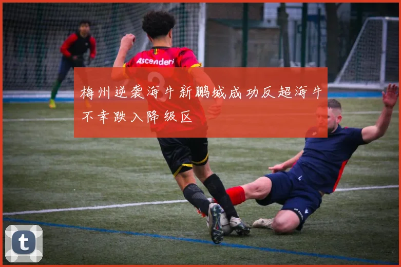 梅州逆袭海牛新鹏城成功反超海牛不幸跌入降级区
